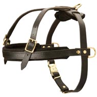 Leather Boxer Harness for Tracking and Pulling Leather Boxer Harness for Tracking and Pulling