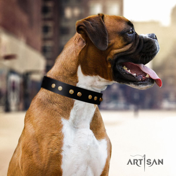 Boxer natural genuine leather collar with reliable D-ring