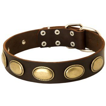 Fashsion Leather Collar with Vintage Plates