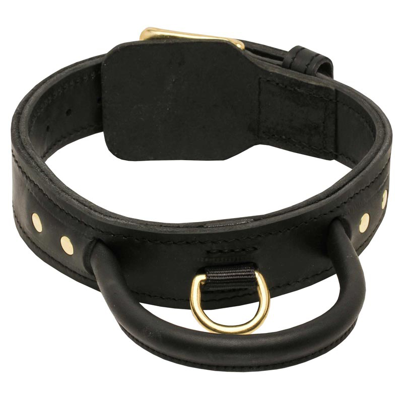 dog collars and leashes for big dogs