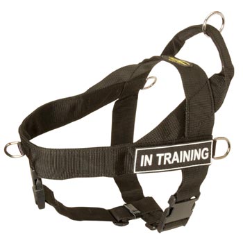 Boxer Nylon Harness with ID Patches
