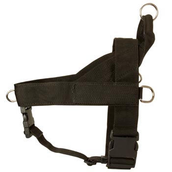 Boxer Harness Nylon for Comfy Walking