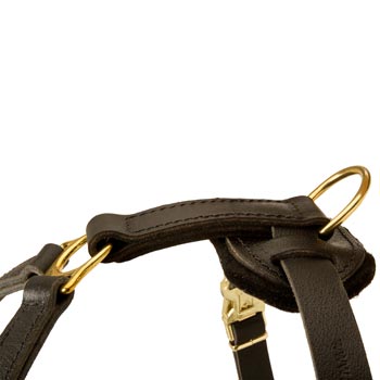 Corrosion Resistant D-ring of Boxer Harness