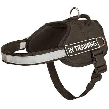 Nylon Boxer Harness Multifunctional All-Weather Practical