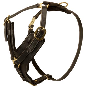 Comfortable Y-Shaped Leather Harness for Boxer Attack  Training