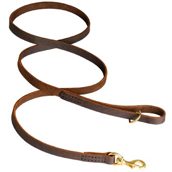 Classic Stitched Leather Boxer Leash