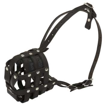 Leather Cage Boxer Muzzle Padded