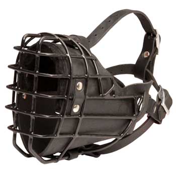 Winter Fully Wire Boxer Padded Muzzle Cage
