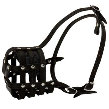 Boxer Muzzle Leather Cage for Daily Walking
