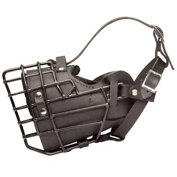 Leather Boxer Muzzle Padded Metal Basket